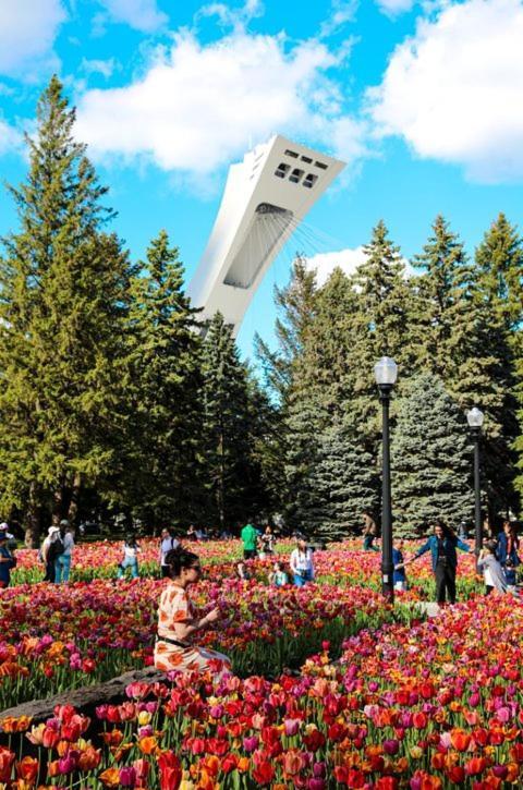 Mtlvacationrentals-The Mtlvr Kisses Монреаль Екстер'єр фото